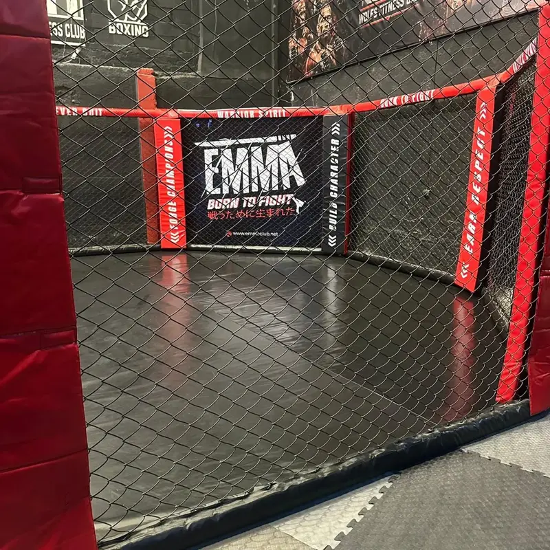 The EMMA MMA cage at the Kafr Abdo branch, Alexandria